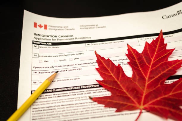 办加拿大的签证需要翻译哪些材料？